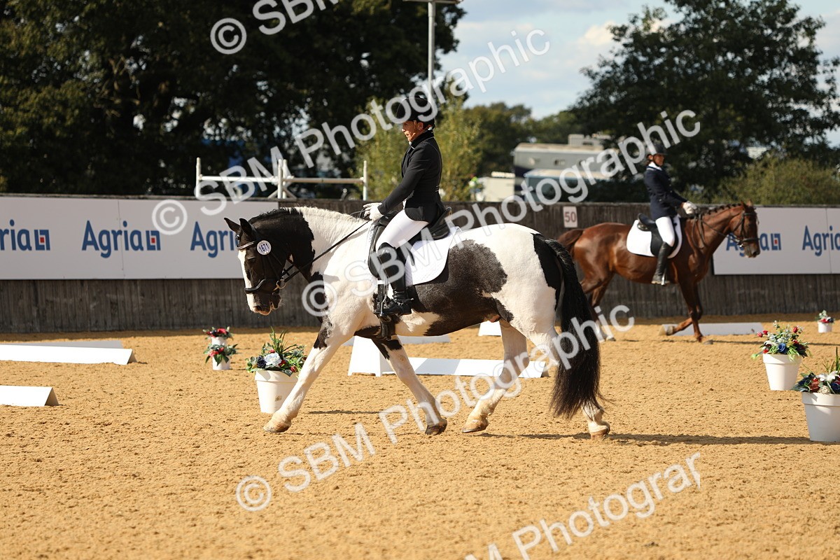 SBM_26689 - D17 - Grand Tour Championship - Novice 27