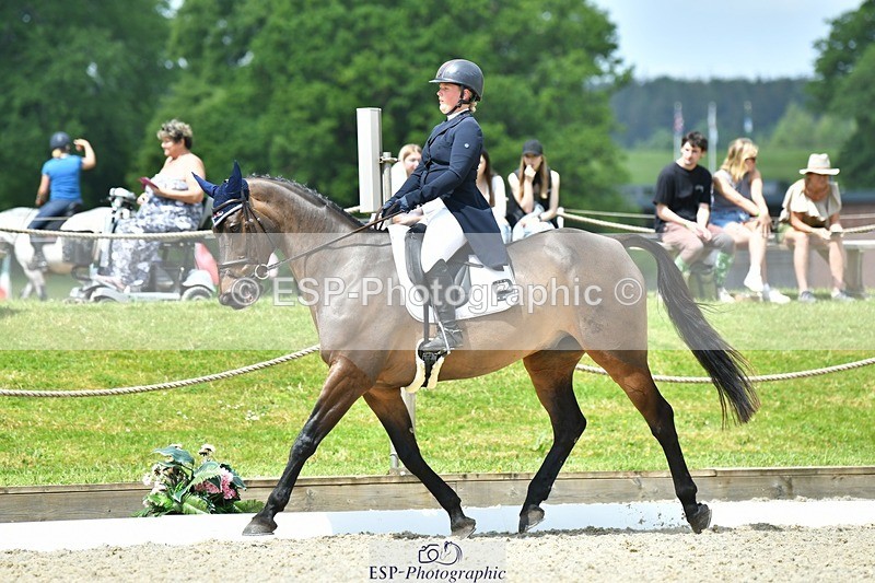 230525-121047-04191 - 207-TYNAN_COOLEY-Lucy_Stimson-WEDTrotUp+DR