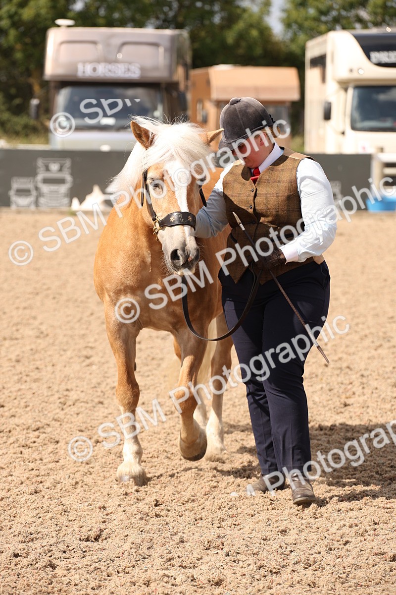 SBM_04610 - Class 20 IH Veteran