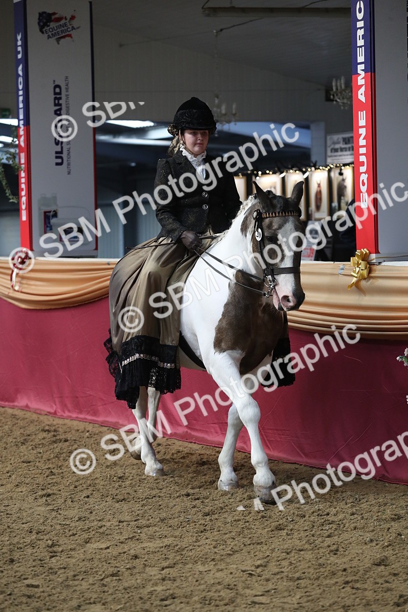 SBM_11200 - Class 104 Ridden Costume - Astride Junior