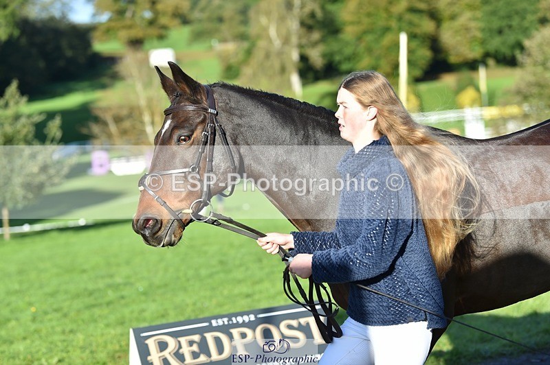 231022-094942-22056 - 494-WEST.FIELD.REBEL-Laura.Bilham-TrotUp+SJ
