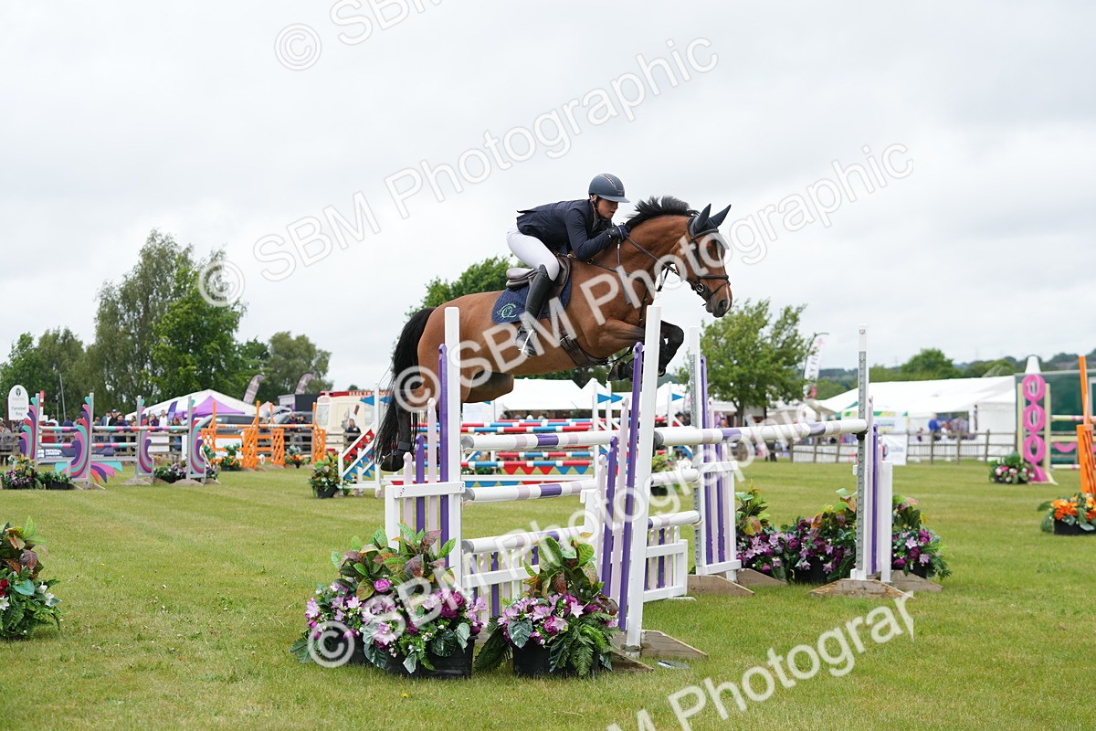 SBM_03448 - Class 201 - British Horse Feeds Speedi Beet Horse of the Year Show Grade  C