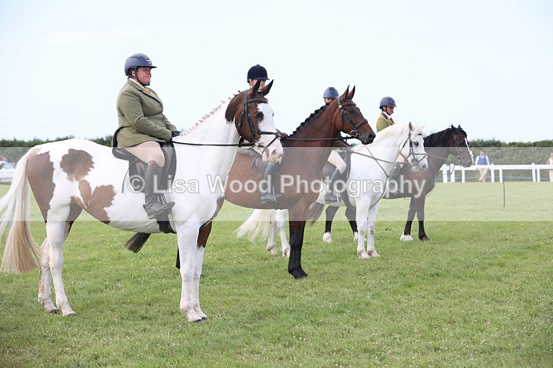 JPP_4127 - Class 24: Working Hunter 90cm