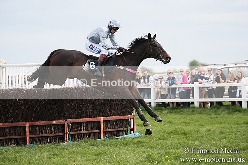 PtP 210418 216 - South & West Wilts Point-to-Point Larkhill 21/04/18