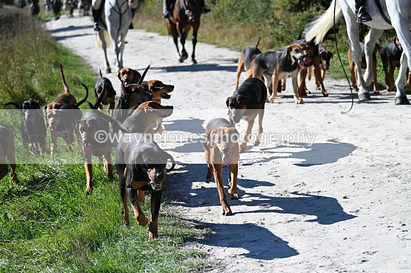 WJ7_7065 - Ridgeway Track