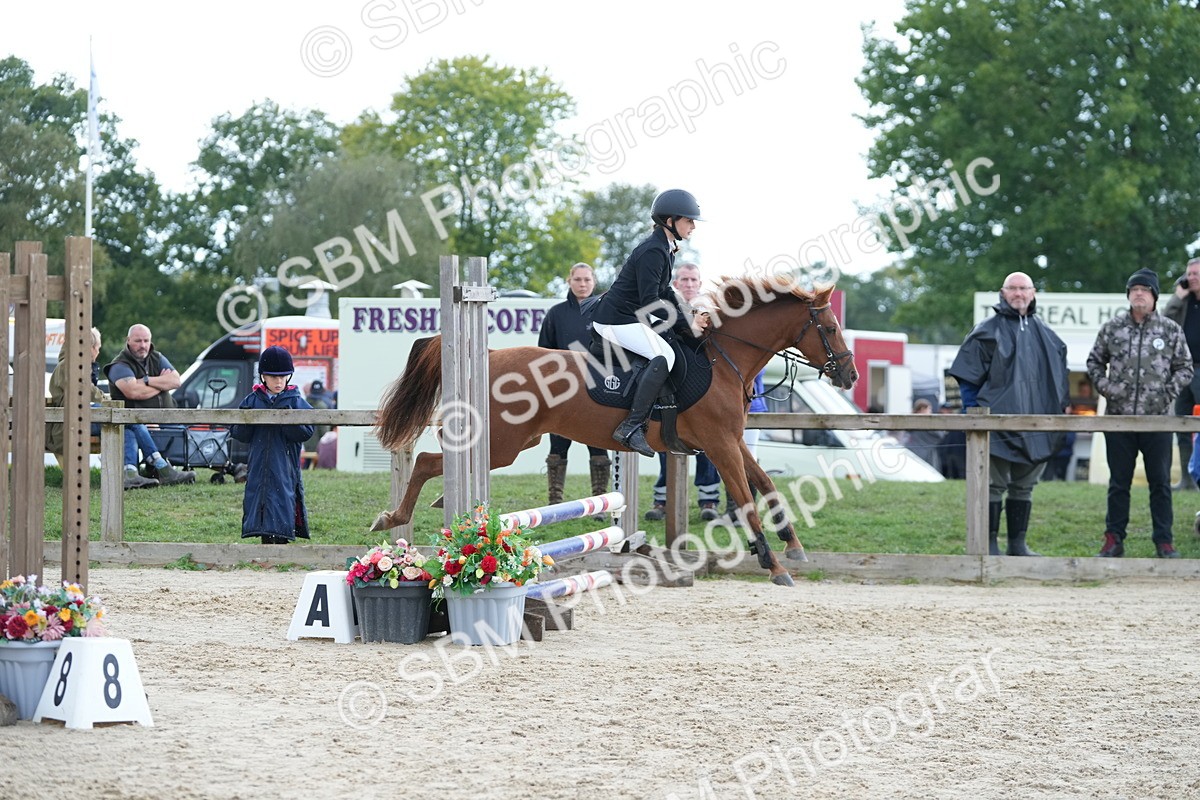 SBM_40012 - J6 - Junior Pony 55cm Championship