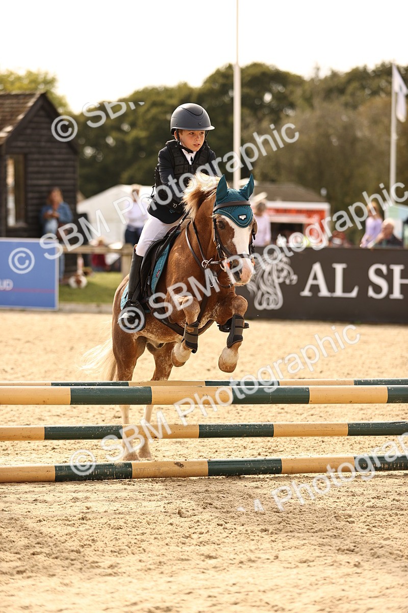 SBM_69666 - J13 - Junior Pony 60cm Championship