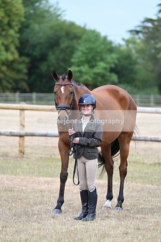 WJ7_9929 - Class 5a Most Handsome Gelding (above 14.2hh)