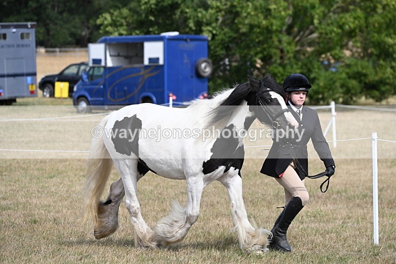 WJ6_6461 - Class 20 In-hand Cob