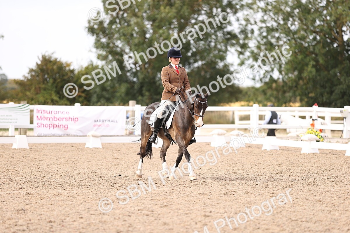 SBM_06075 - Class 37 Novice 5