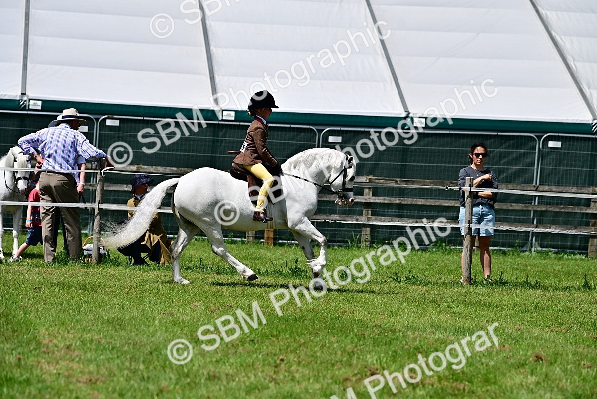 SBM_06061 - Class 59-60 - TSR M&M  Lear Rein and First Ridden Amateur of the year