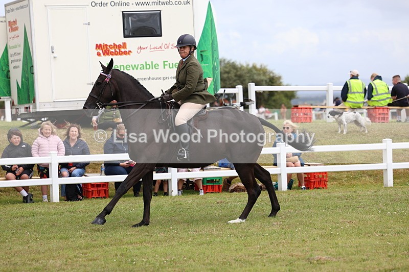 3E7A1042 - Class 8: Open Riding Horse/Hack