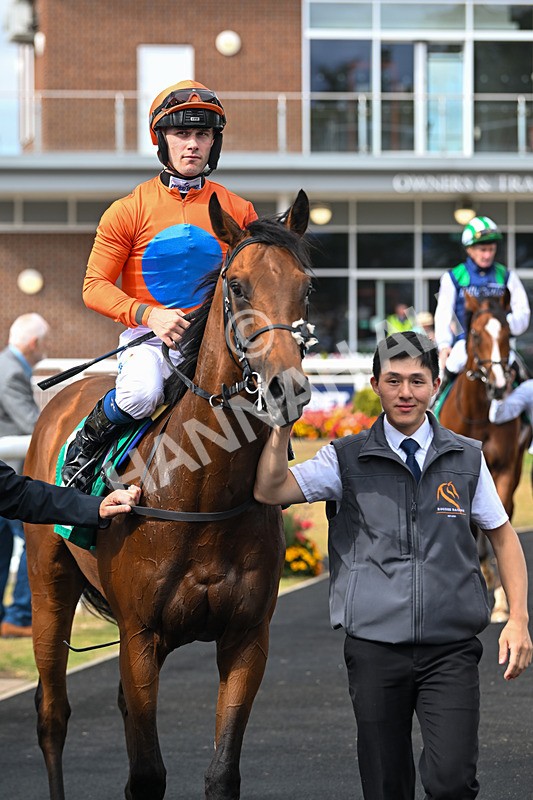 290825-Race 3-Be The Standard-8709 - Race 3