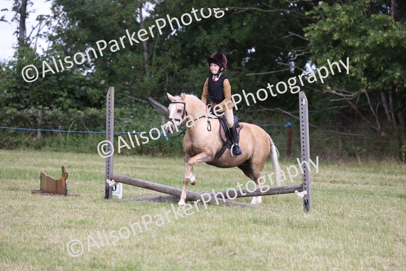 20260614-0452 - Class 20 - Beginners Working Hunter Pony