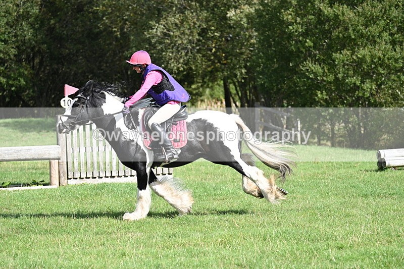 WJ7_0211 - Time 12:53 to 13:03