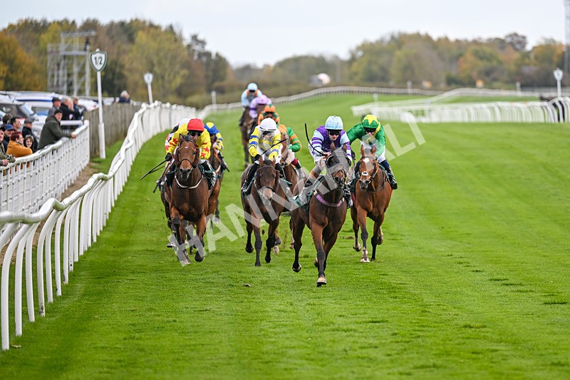 281025-Race 4-Evocative Spark-1496 - Race 4