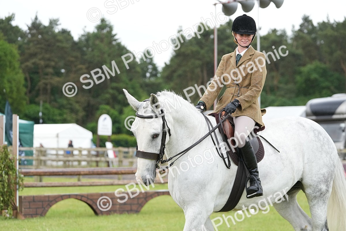 SBM_12684 - Class 97-98 - LIHS BSHA Rising Star Working Show Horse Hunter