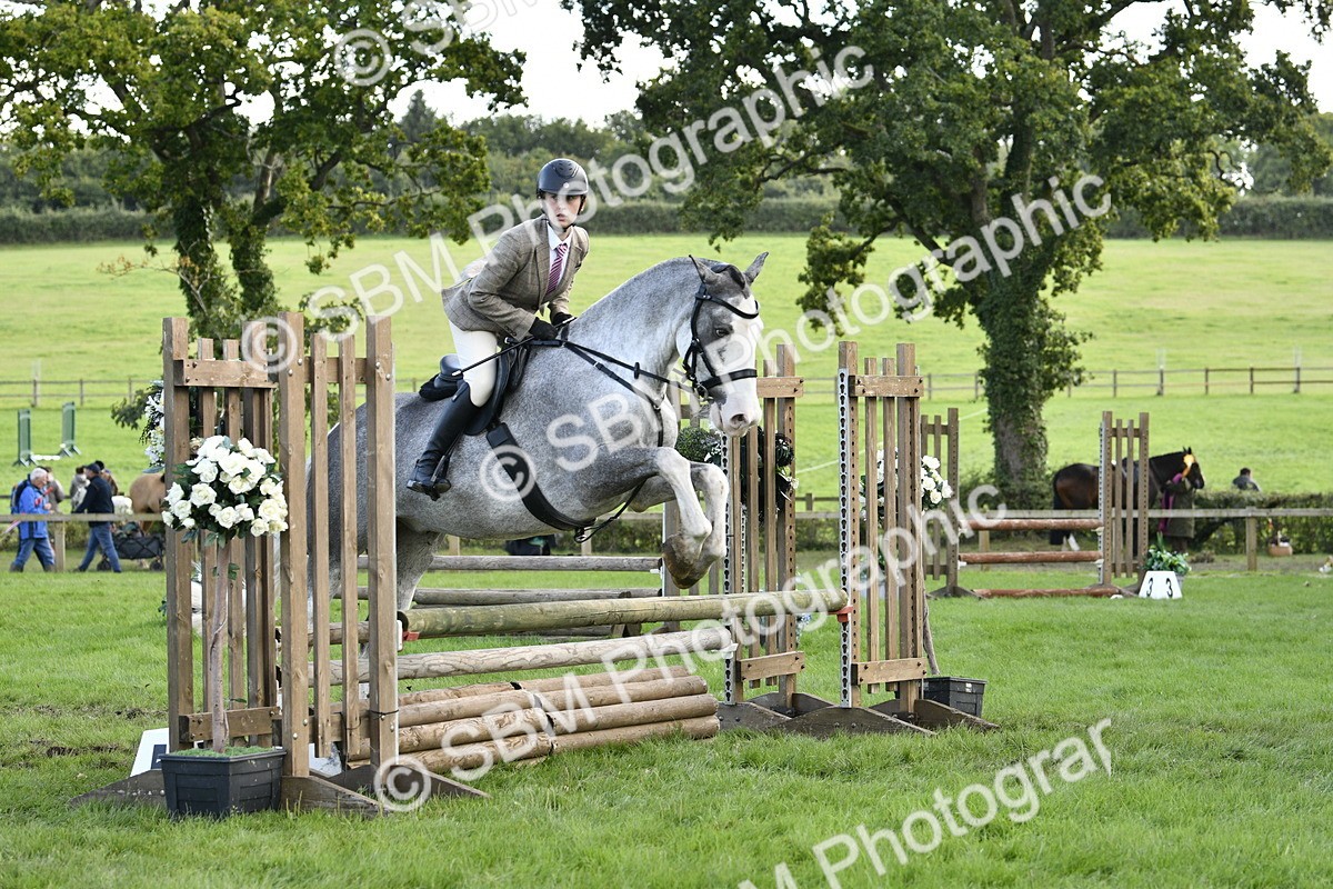 SBM_52191 - S35 - Working Hunter & Working Show Horse