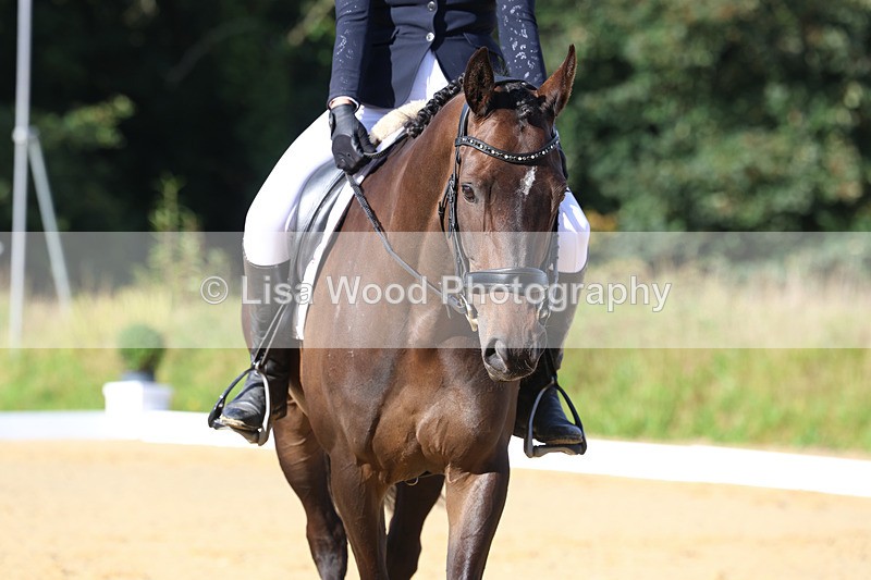 3E7A2116 - Class 1: Intro 4 2024 section A