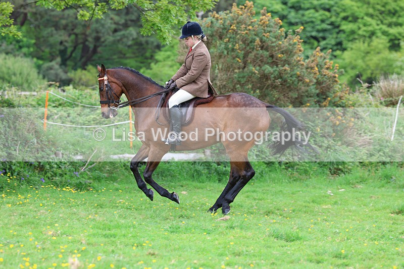 3E7A2007 - Class 10: Ridden Sports Horse