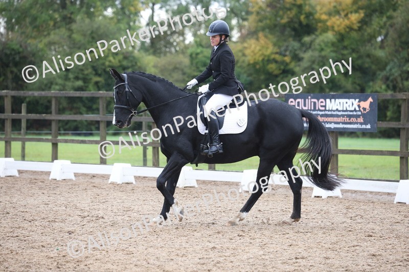 20261021-0775 - Class 6 - Novice 3