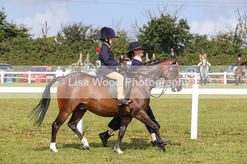 1X9A3576 - Class 29: Lead Rein SP/SHP