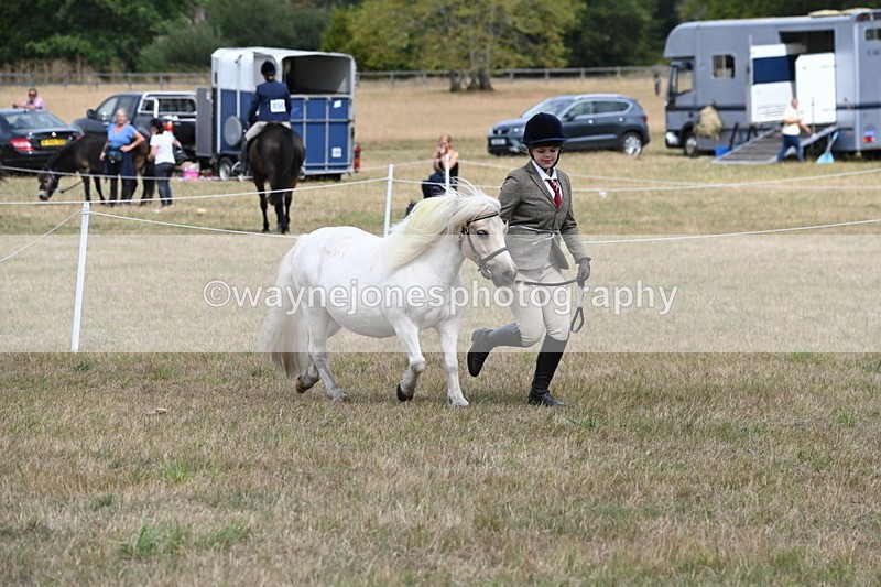 WJ6_5938 - Class 19 In-hand Veterans (Uploaded correct folder)