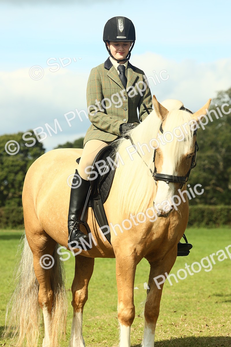 SBM_62685 - S63 - Other Coloured Horse Ridden