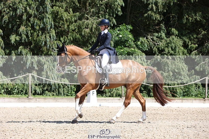 230526-150603-06626 - 378-CLASS_SPEC-Susie_Eddis-WEDTrotUp+DR