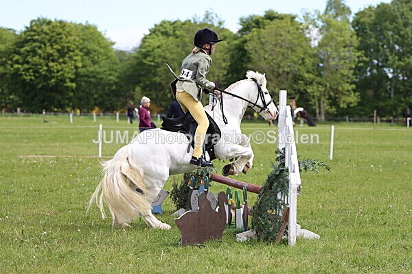 IMG_3035 - Working Hunter