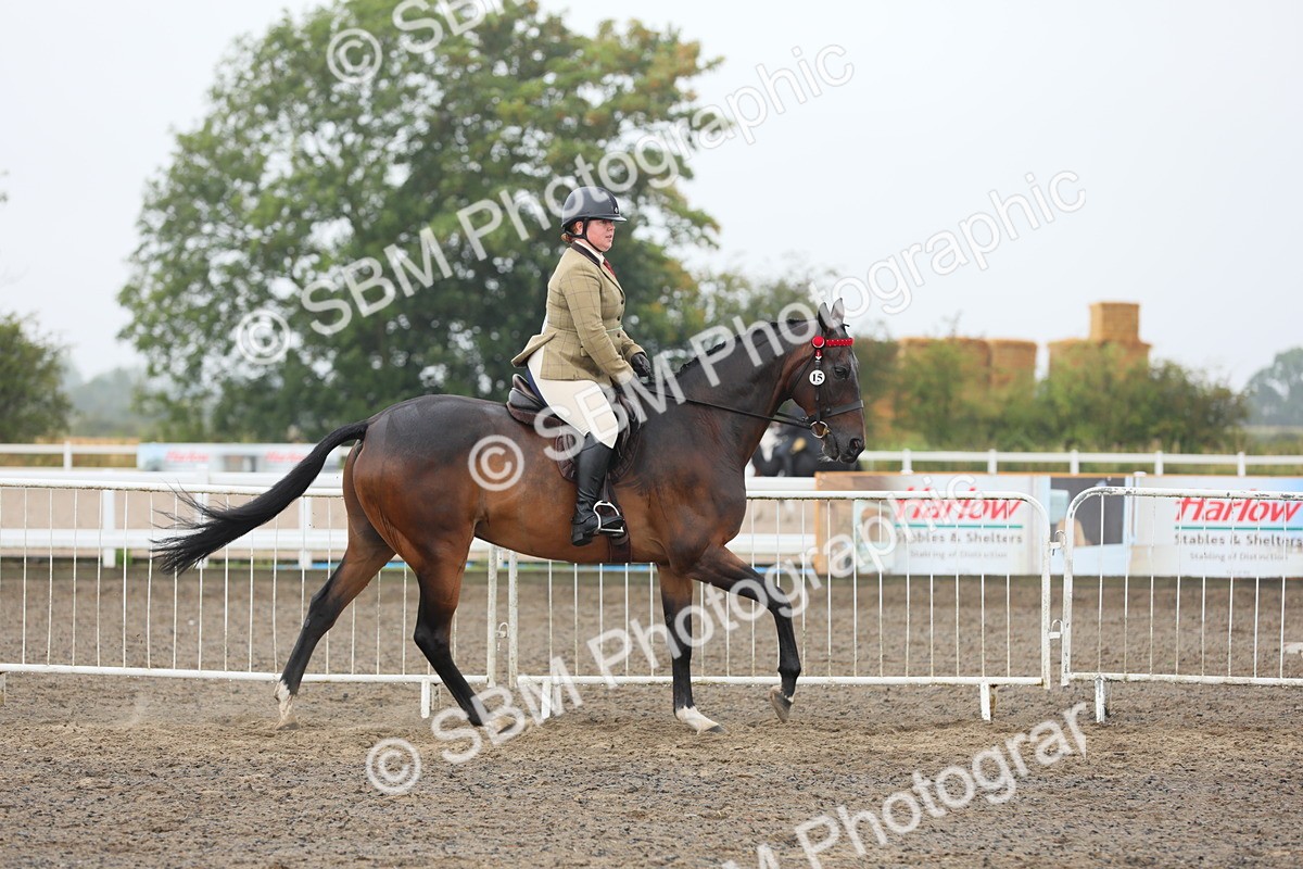 SBM_21252 - Class 805 - Ridden Veteran Horse