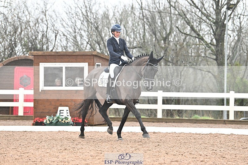 250215-133205-03881 - 165-Elder.Klatzko-Dynasty.Hit