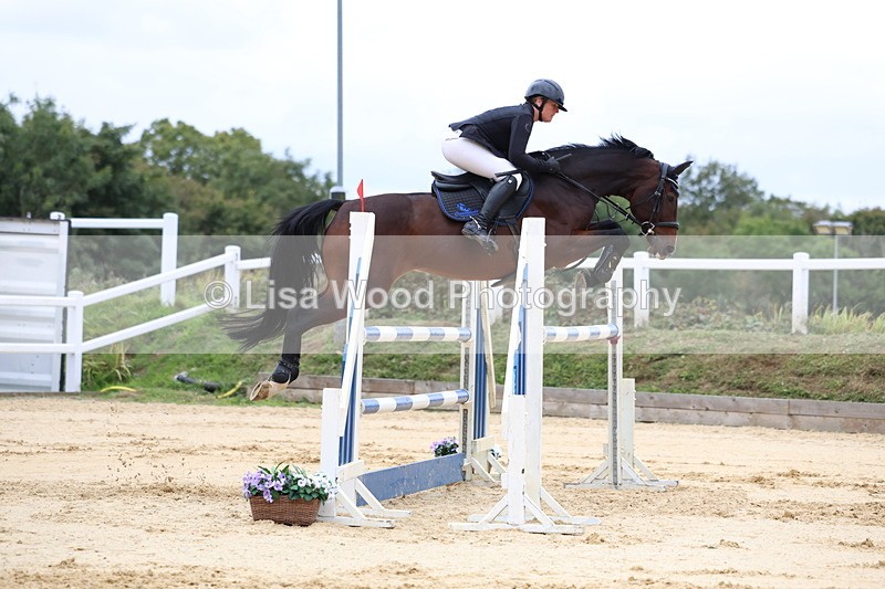 3E7A3379 - Class 9: Senior Foxhunter/1.20 open