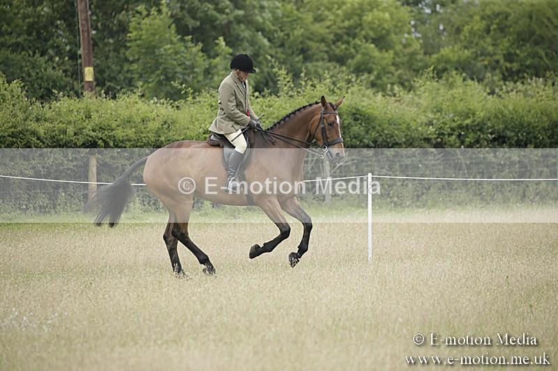 B230619-0802 - Bourne Valley Riding Club Summer Show 23/06/19