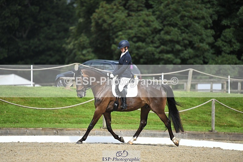 230812-104359-03449 - Cls 6 Novice Silver 10.30 to 11.55 break