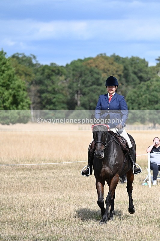 WJ7_6250 - Class 13 Ridden Veterans