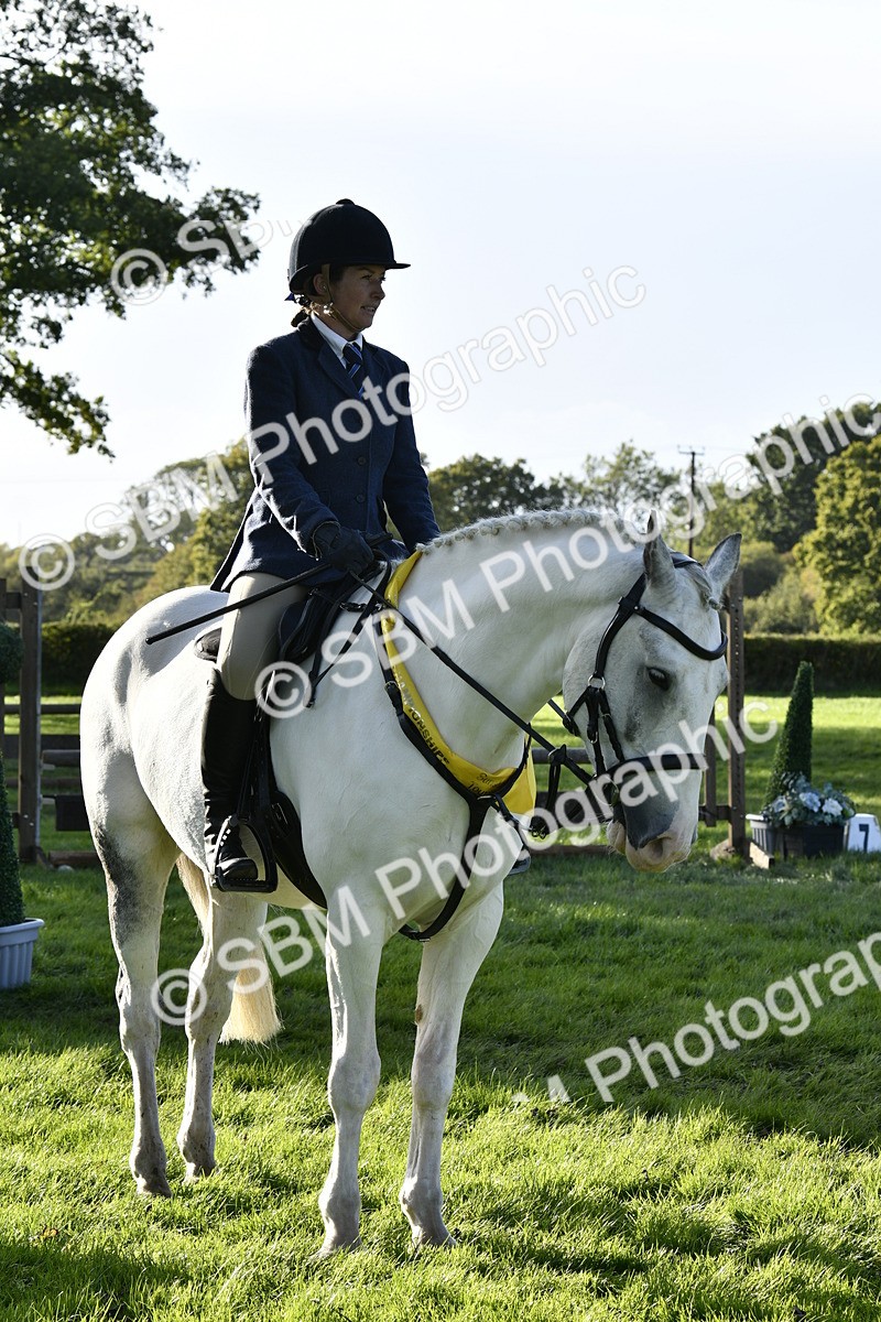 SBM_51713 - Working Hunter Supreme Championship