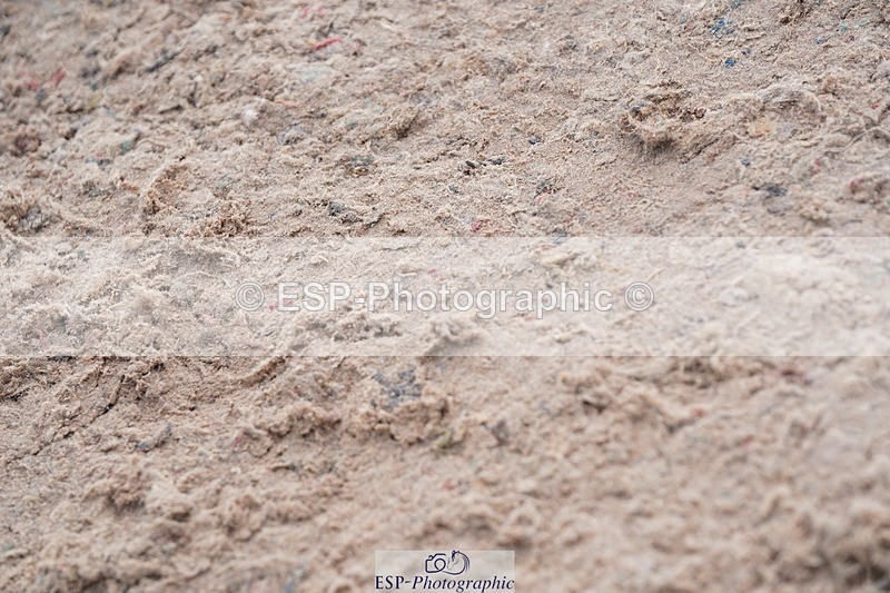 250425-101856-08473 - Cls 30 Young Horse 6yr old