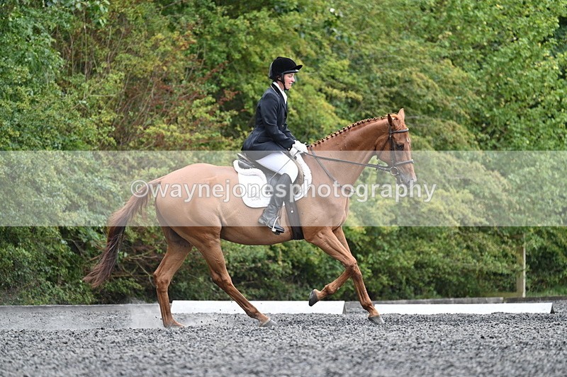 WJ7_7256 - Time 12:53 to 13:18