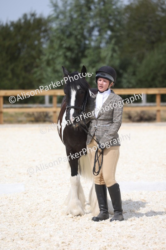 20260802-1513 - Class 16 - Best Horse or Pony