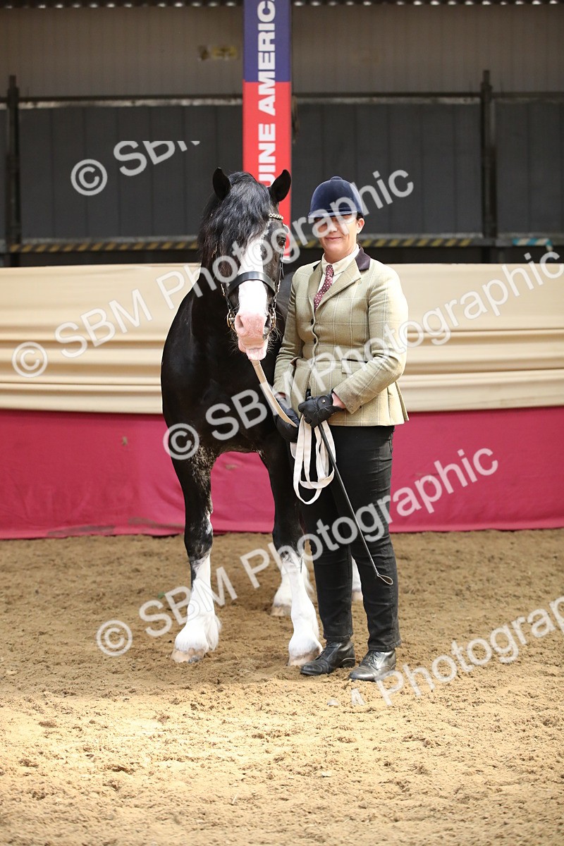 SBM_05393 - Class 8R - Regional IH Veteran