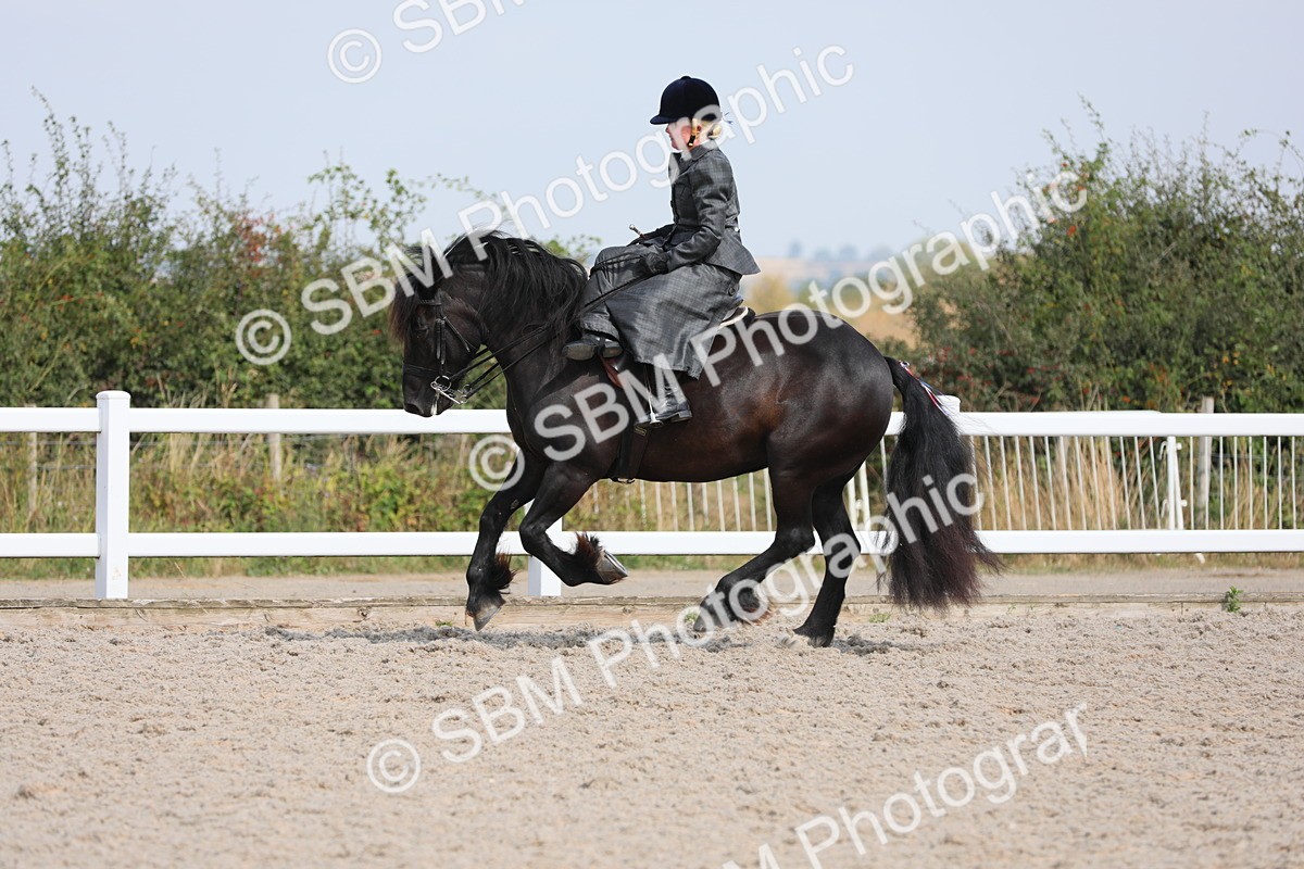 SBM_14564 - Class 211 Best Side Saddle Horse/Pony