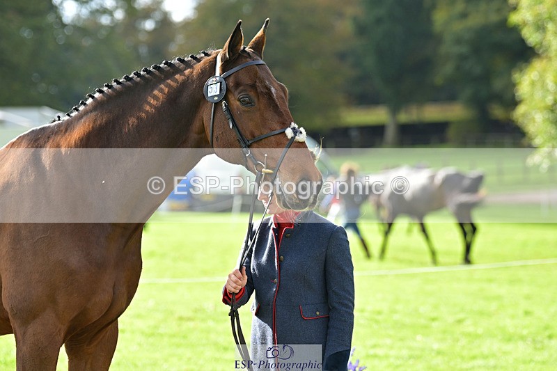 241023-132631-00289 - 053-Lois.Teal-Z7.CATASTROPHE