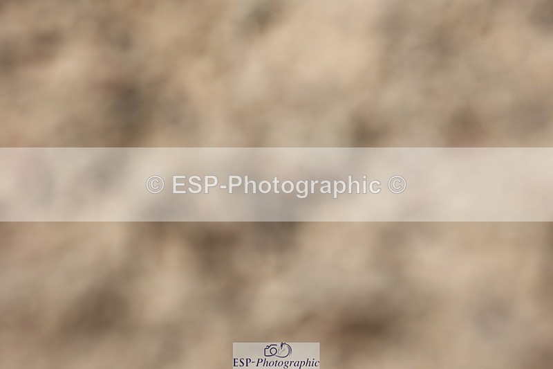 250620-151919-04703 - BD Cls 19 - FEI Inter I