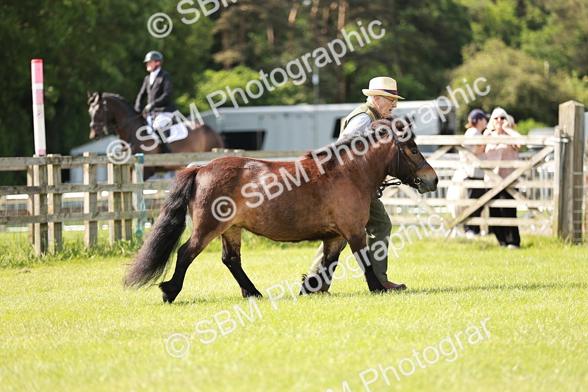 SBM_01812