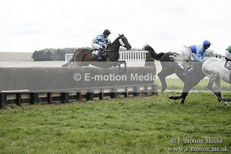 PtP 170417 97 - Old Berks Point-to-Point Lockinge 17/04/17