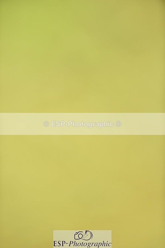 240523B-101648-01736 - 4 Year Old