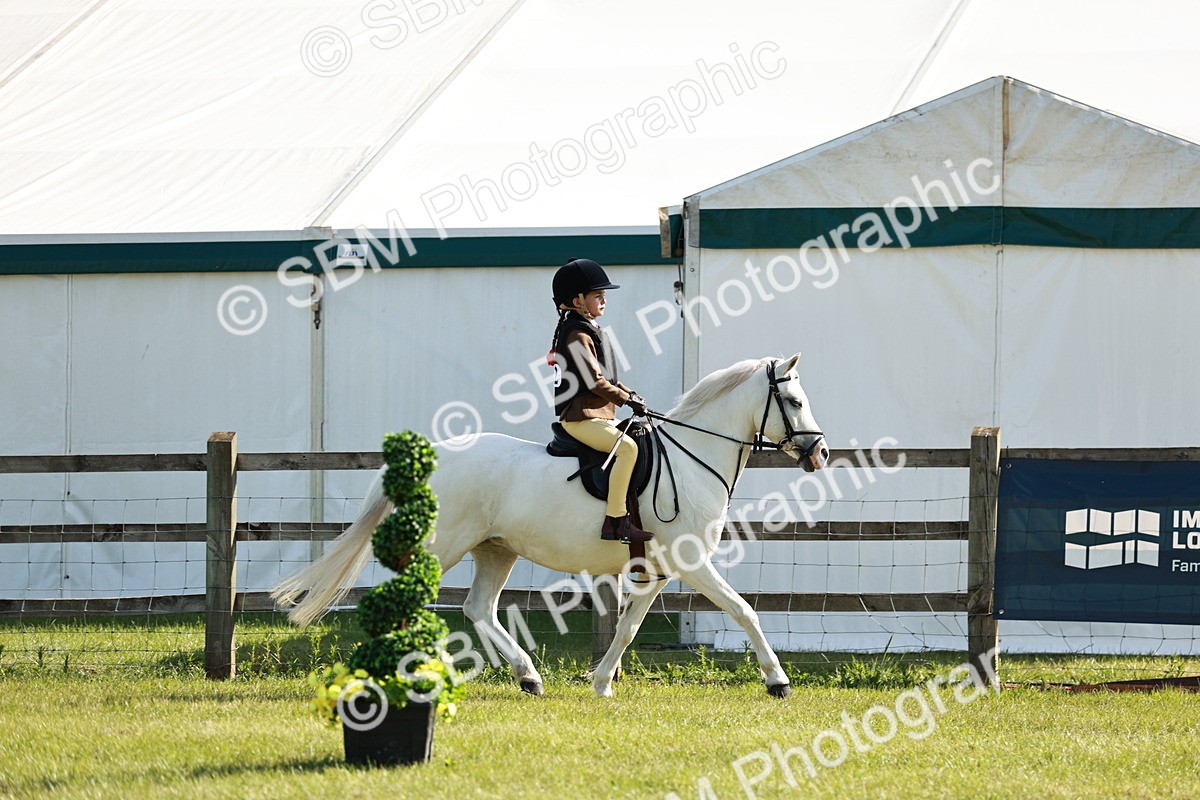 SBM_12569 - Class 106-107 - BSPS LIHS Working Sports Pony