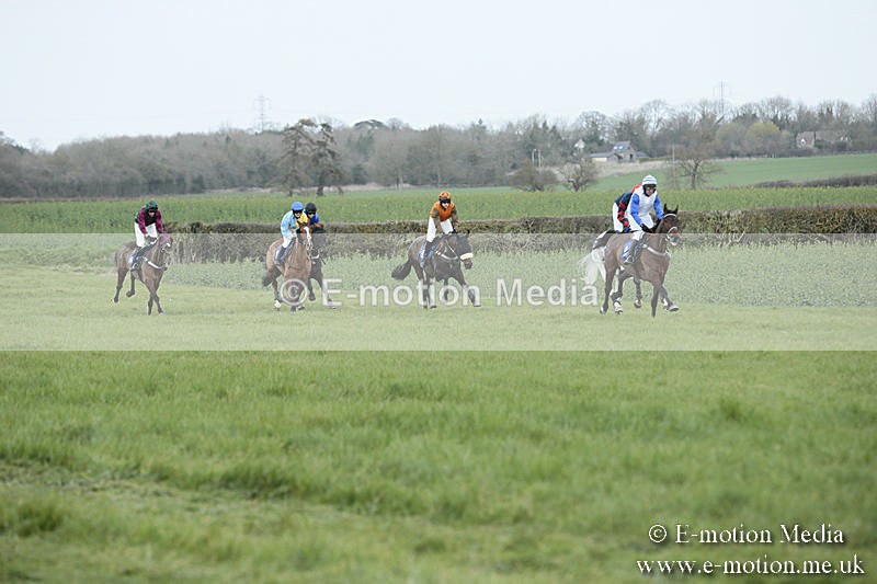 PtP 230319 103 - VWH Hunt Siddington Point-to-Point Racing 23/03/19
