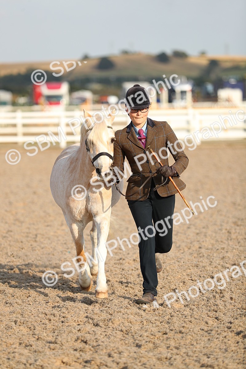 SBM_09068 - Class 29 IH Veteran Pony
